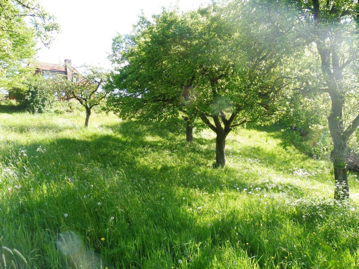 Kleine Villa Im Wilden Garten Гуммерсбах Экстерьер фото